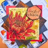 Heirloom Mum {9/26}