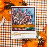 Heirloom Mum {9/26}