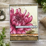 Heirloom Mum {9/26} STAMPS ONLY