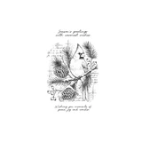 Stillness & Song red rubber background stamp from Unity Stamp Co - a northern cardinal perched on a snow-dusted pine branch with two large pinecones and berry sprigs, over faded French script and ledger texture with a postal cancel, with the script sentiment Wishing you moments of peace, joy and wonder.