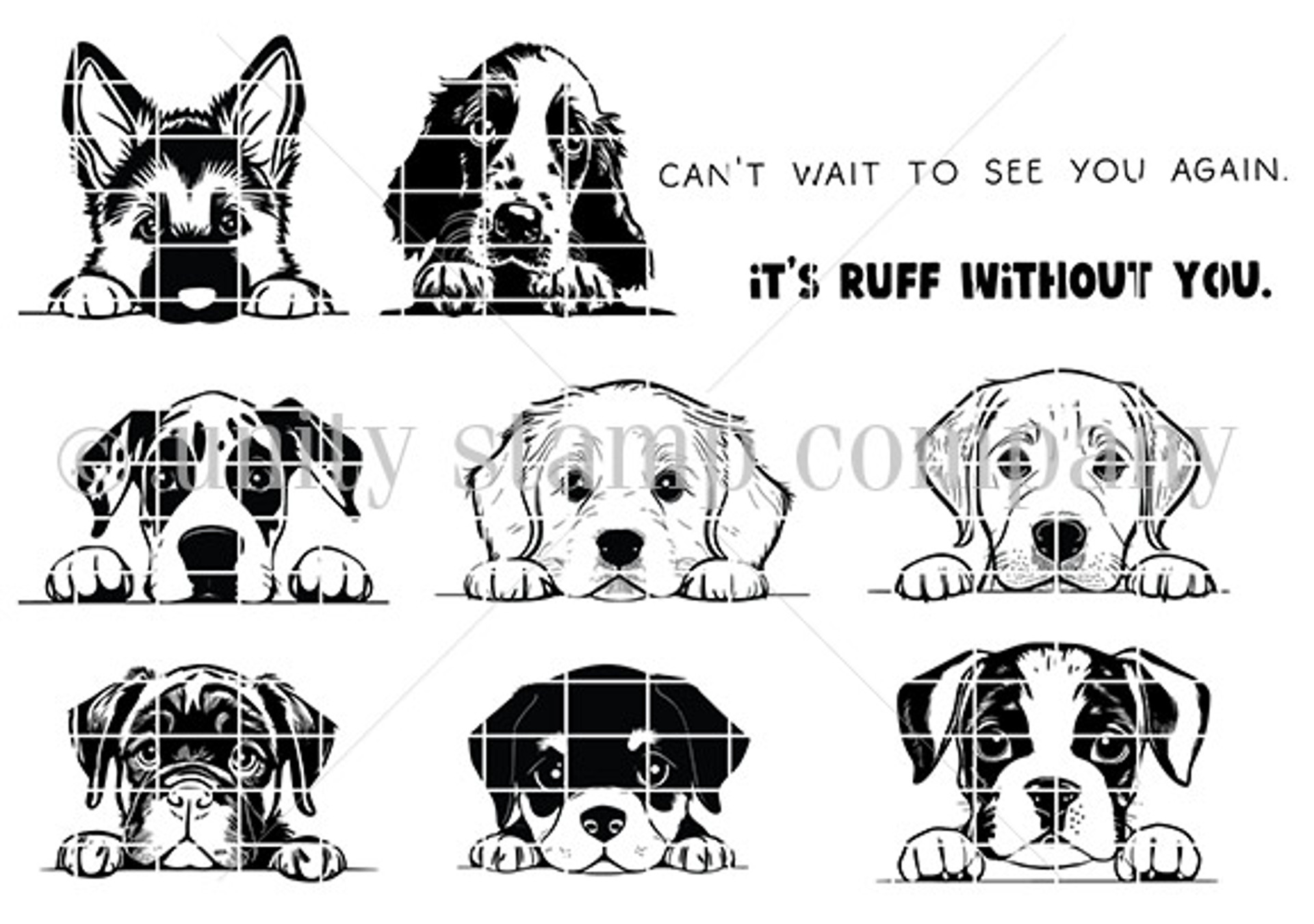 curious-canines