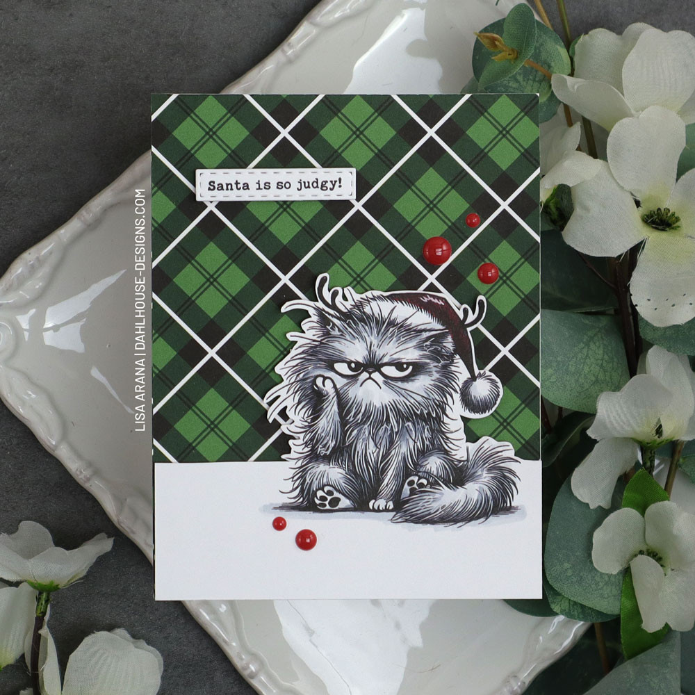 Ho Ho No Pissy Kitty