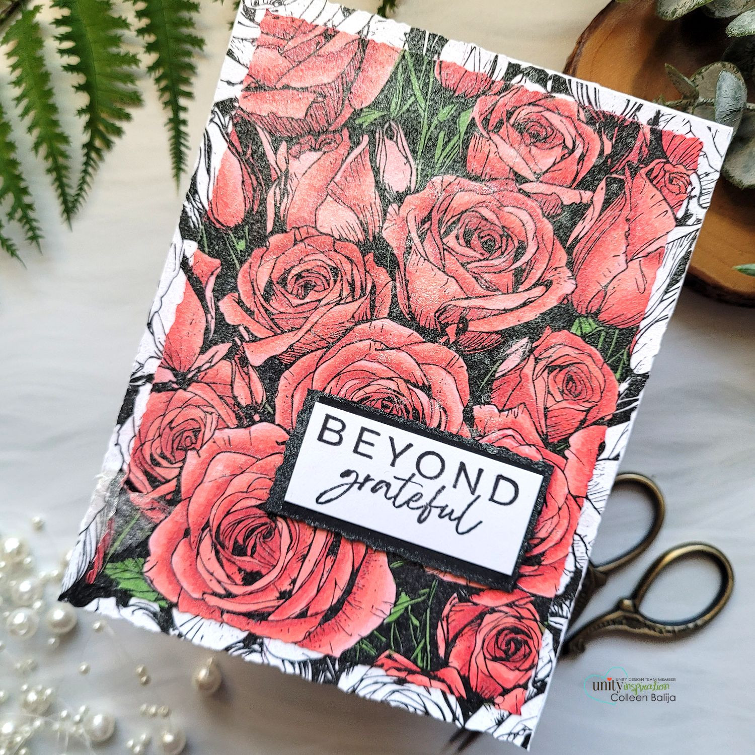 Faded Roses {bkg 12/24}