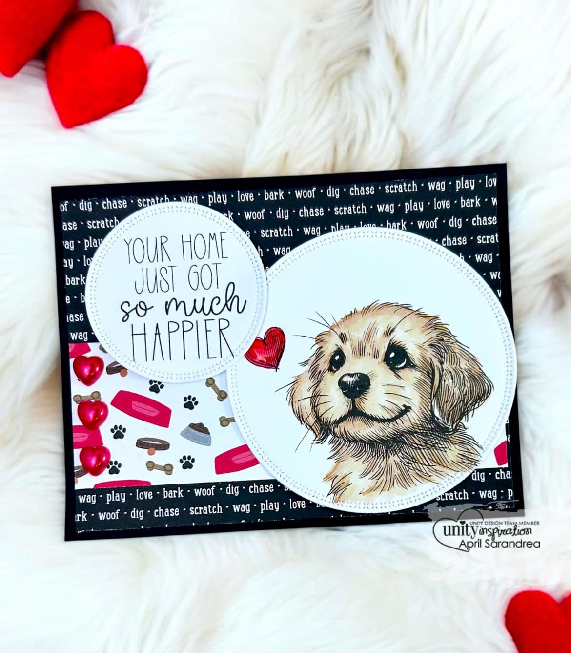 Cat Rescue Happy Days Dog Pet Sitter Happy Tails Day Happy Tails