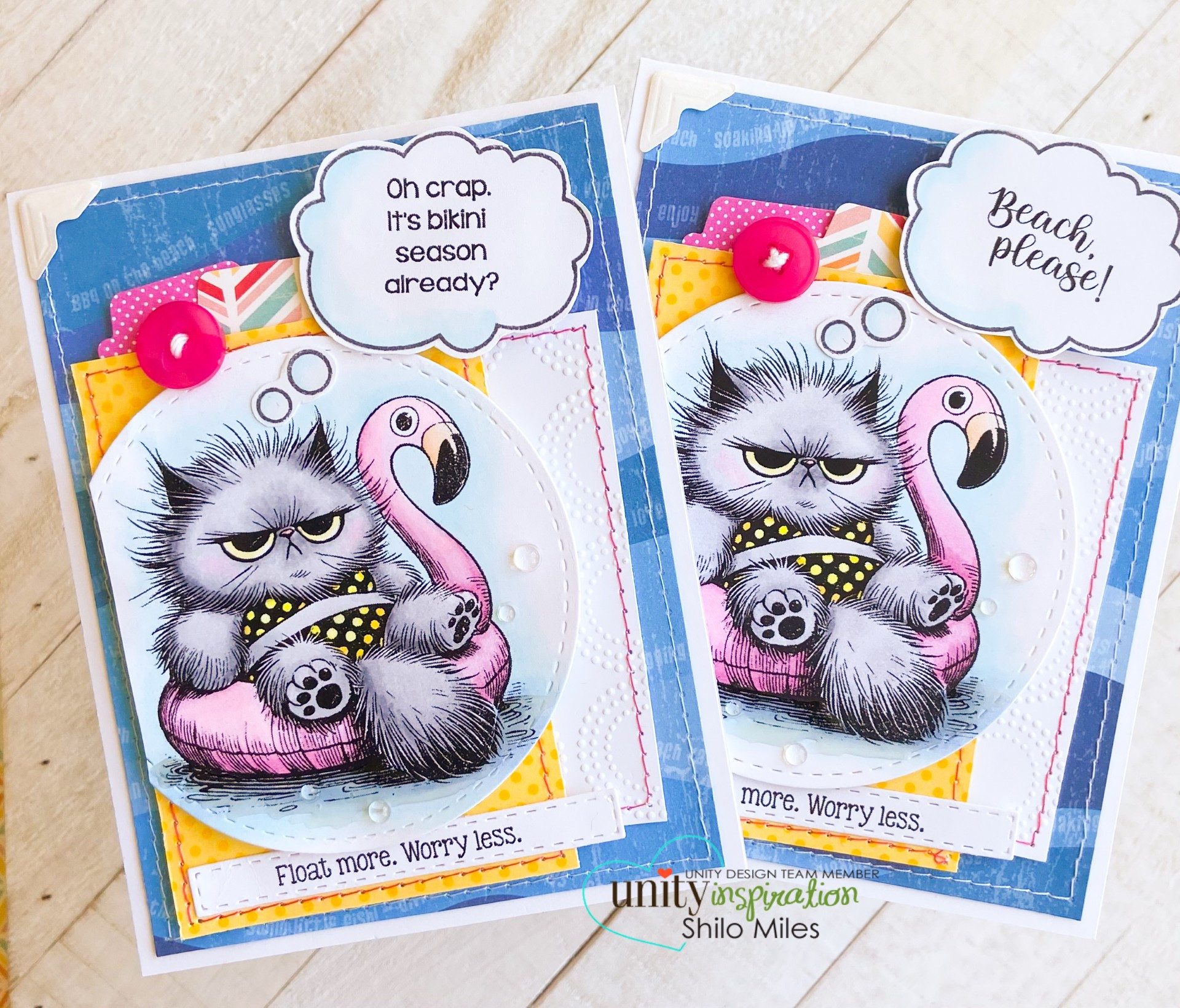 Sun's Out, Sass Out Pissy Kitty