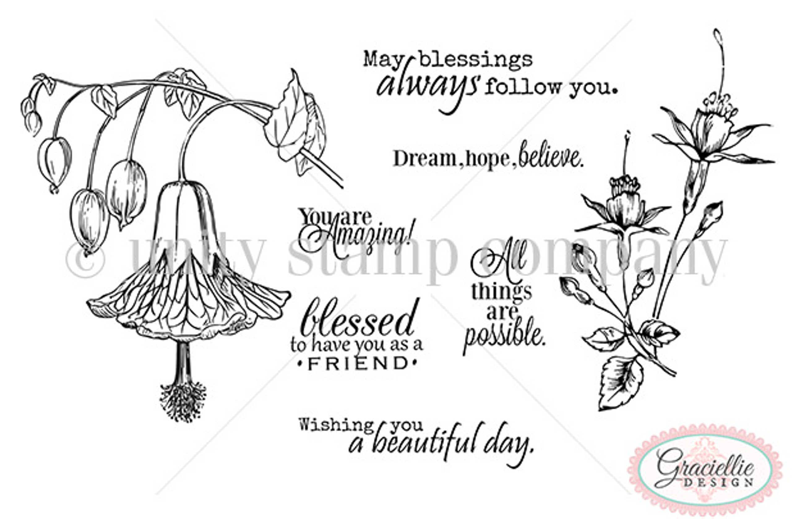 Decoding Havarti: Finding Low Lactose Options For You - 0m9ul8s
