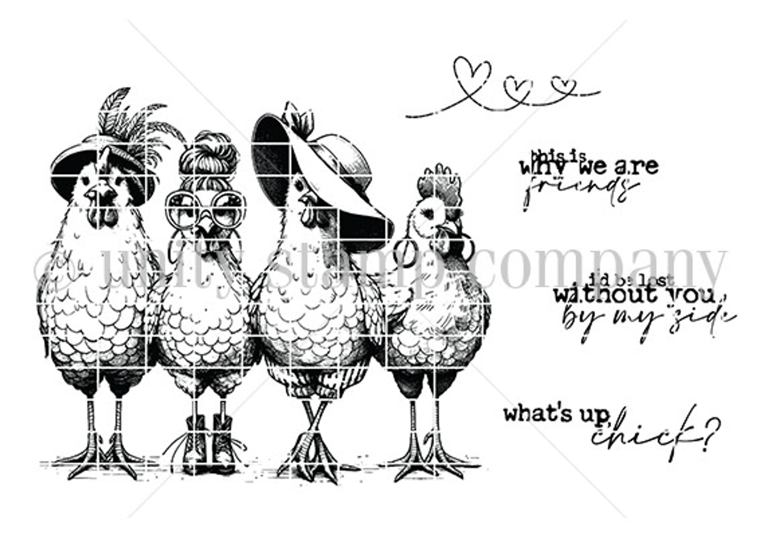 Chick Tribe chick-tribe