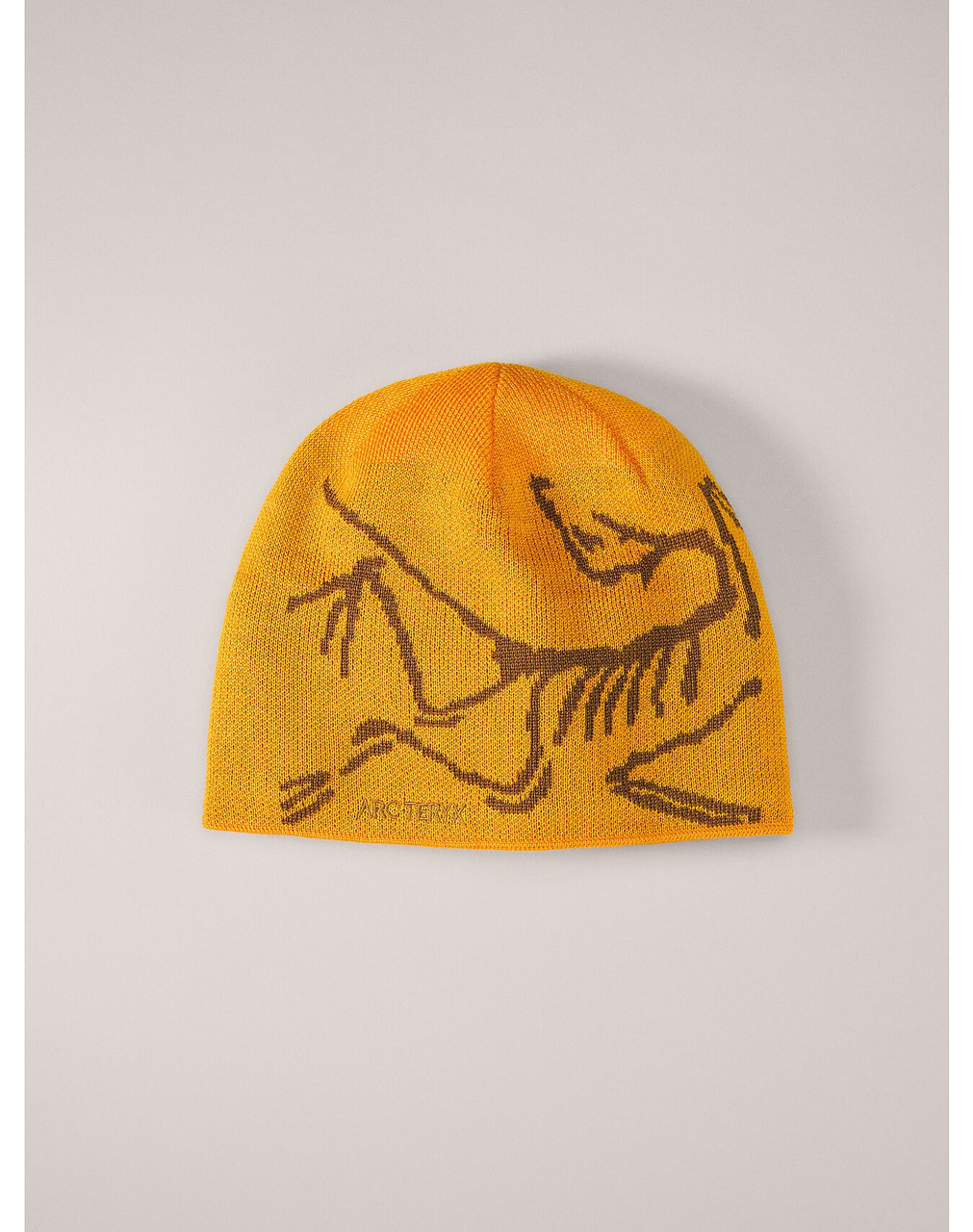 Arc'Teryx Bird Head Toque