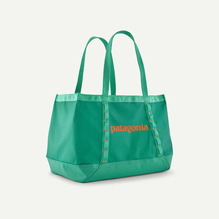 Patagonia Black Hole Tote 25L | Patagonia