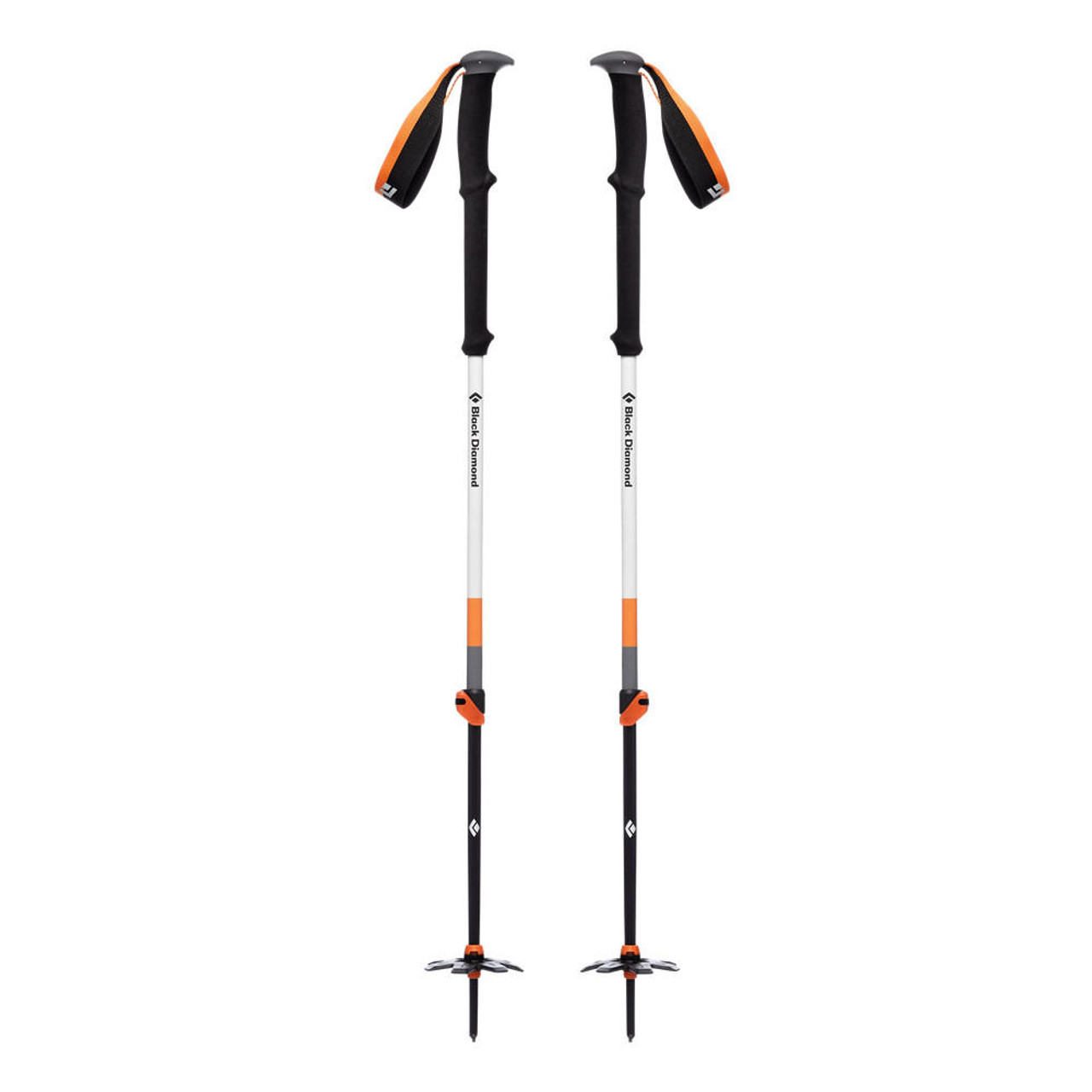 Black Diamond Expedition 2 Ski Poles | Black Diamond