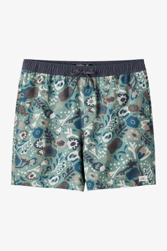 O'Neill Men's Lennox Hermosa Solid Volley Short 17