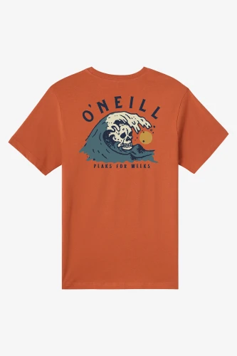O'Neill Men's Sesh SS Classic Tee