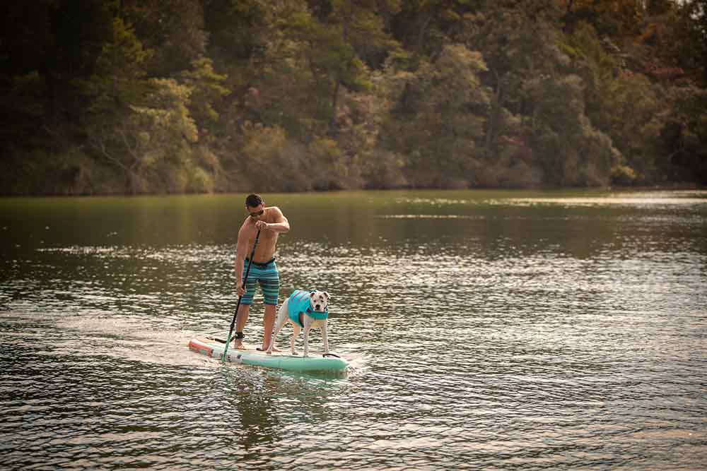 Father's Day Gift Guide