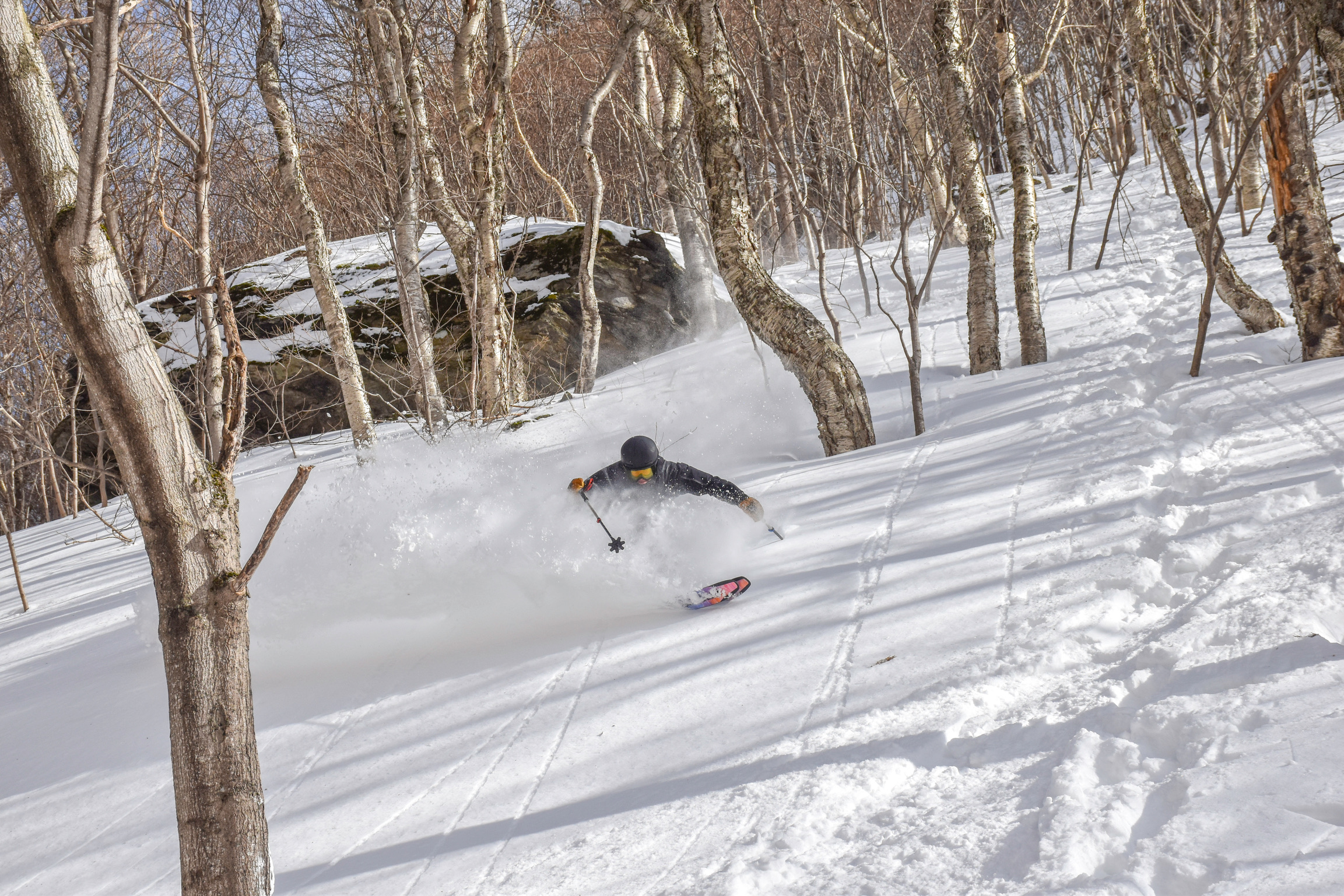 Staff 2026 Ski & Snowboard Picks!