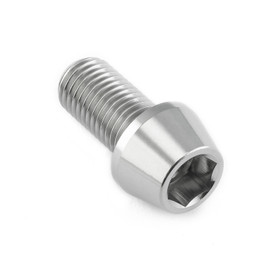 Titanium Socket Cap Bolt M10x(1.25mm)x20mm