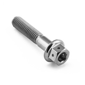 Titanium DualDrive Bolt M5x(0.80mm)x25mm Race Spec