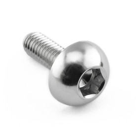 Stainless Steel Disc Bolt To Fit Honda M6x17mm