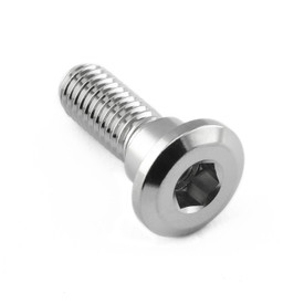 Stainless Steel Disc Bolt To Fit Honda M8x24mm
