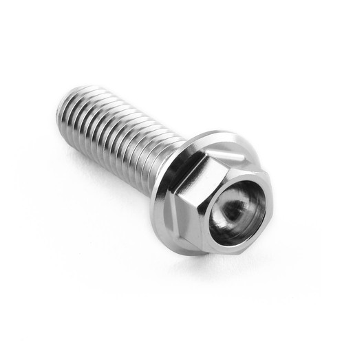 Stainless Steel Flanged Hex Head Bolt M8x(1.25mm)x25mm