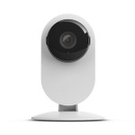 Nunc ac diam non mauris auctor maximus