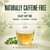 Organic Moringa Tea Bags