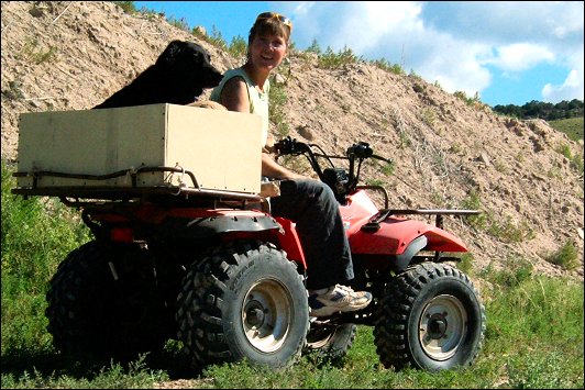 Suzuki Quad Runner