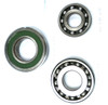 Main Bearing Kit CVT8   JF017  (REOF10E and F )