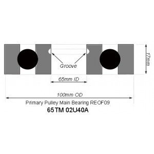 Primary Pulley Main Bearing REOF09