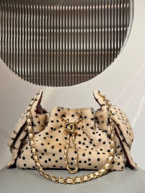 Cheetah fur CC