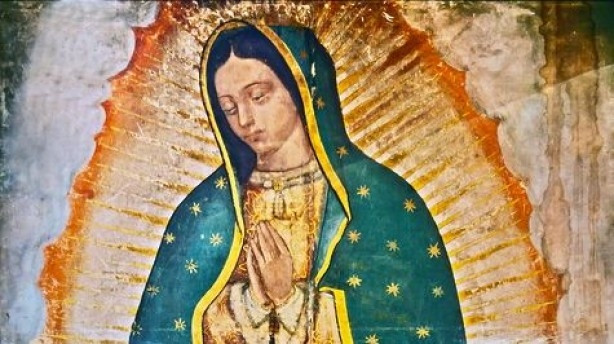 Productos Guadalupanos