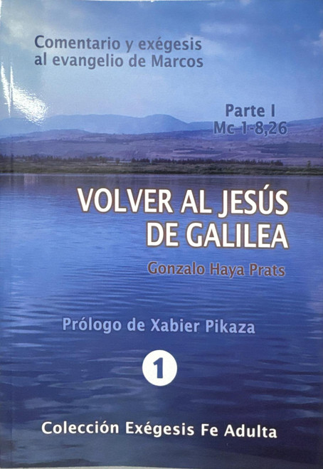 VOLVER AL JESUS DE GALILEA -I