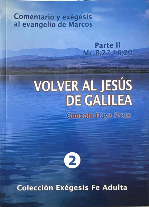 VOLVER AL JESUS DE GALILEA -II