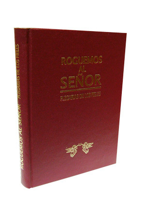 ROGUEMOS AL SEÑOR