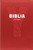 Y- BIBLIA. Biblia de la iglesia catolica para los jovenes.