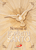 NOVENA AL ESPIRITU SANTO