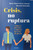 CRISIS, NO RUPTURA. Conocer, prevenir y superar las crisis de pareja.