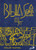 BIBLIA SAGRADA - BOLSILLO VINYL - (PORTUGUES)