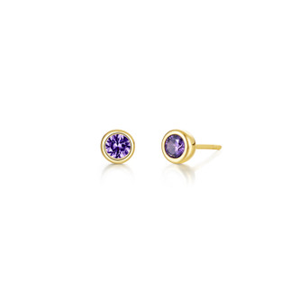 February Birthstone Bezel Stud Earrings