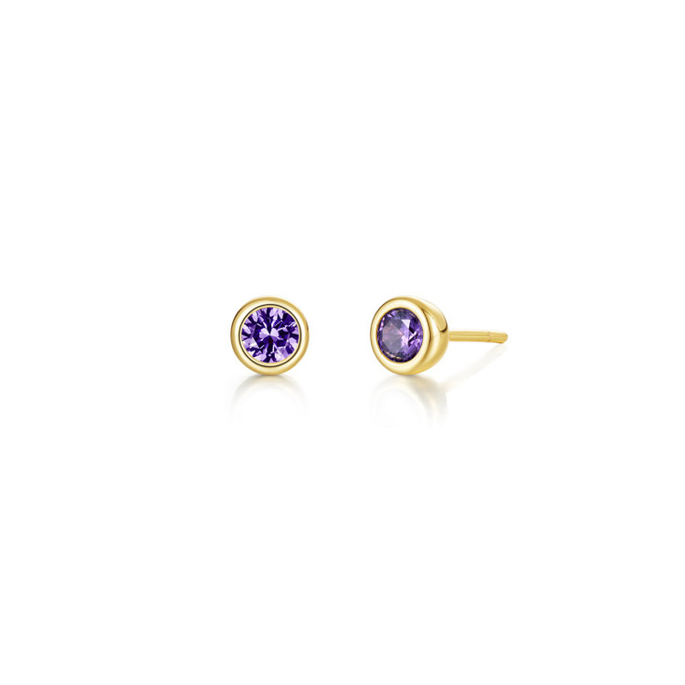 February Birthstone Bezel Stud Earrings