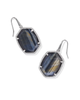 Daphne Pave Frame Drop Earrings in Navy Tigers Eye- Rhodium Tone