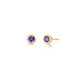 February Birthstone Bezel Stud Earrings