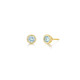 March Birthstone Bezel Stud Earrings