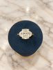 3.95cttw Lab Grown Elongated Cushion Three Stone Engagement Ring-14KY