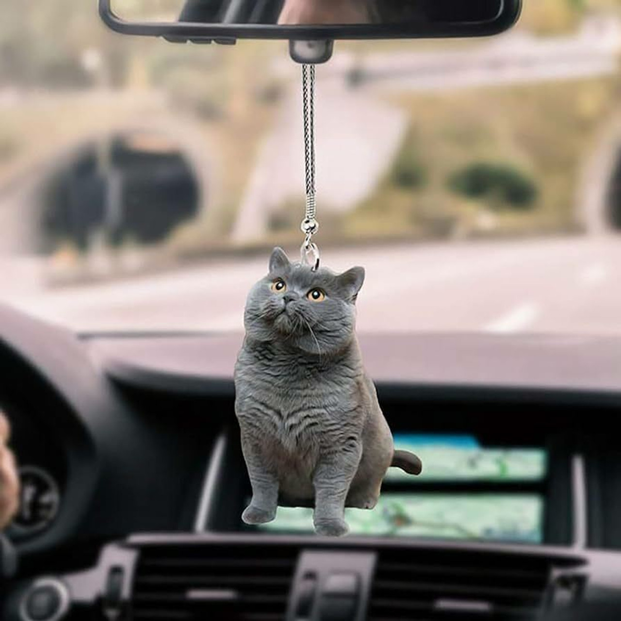 Car Accessories