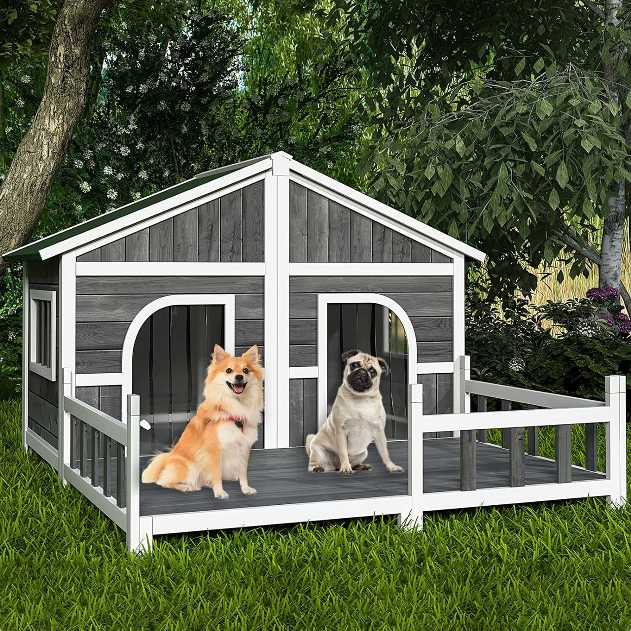 Dog House