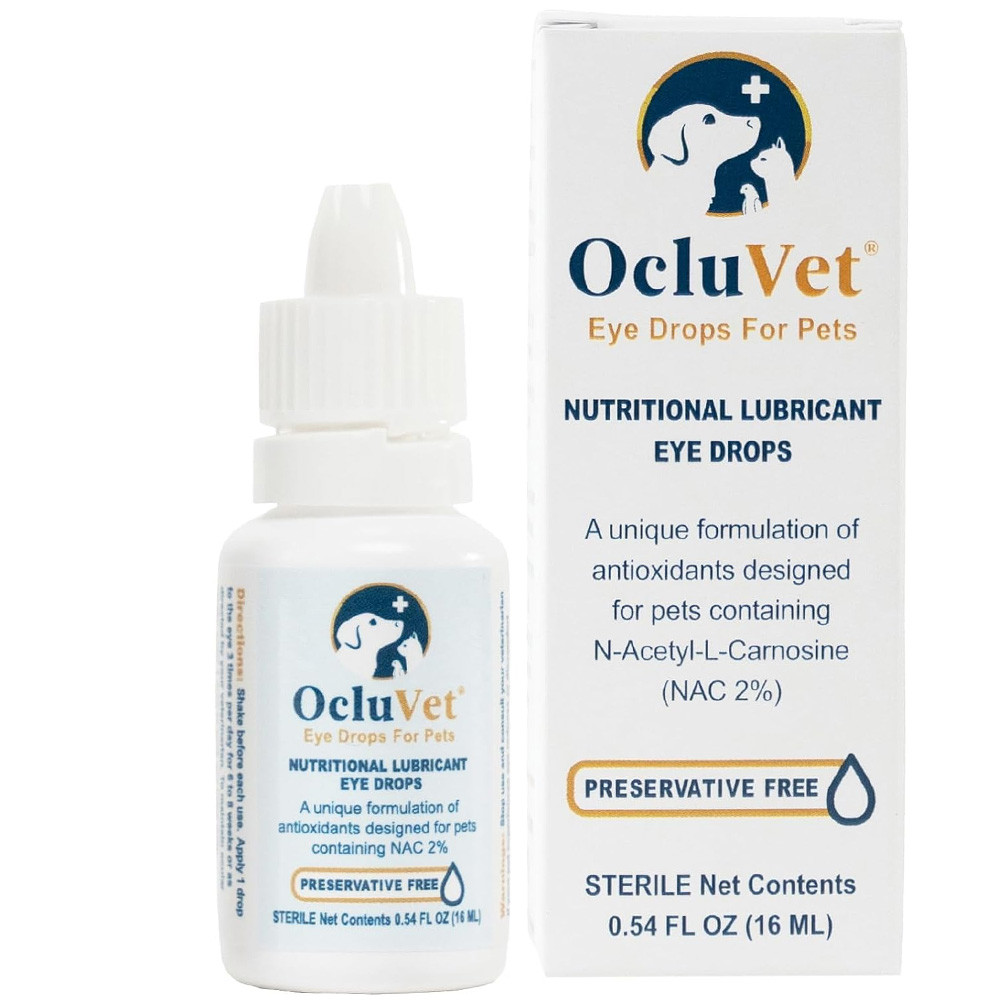 Eye Care My Dog Ate Prescription Eye Drops Atropine Sulfate Eye