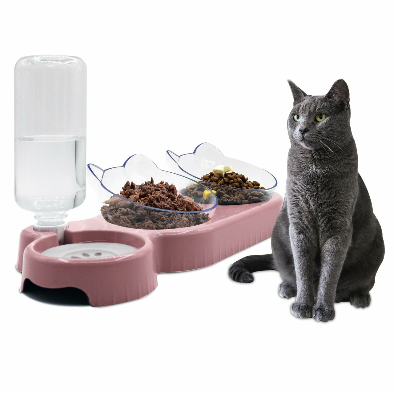 Bowl & Feeders