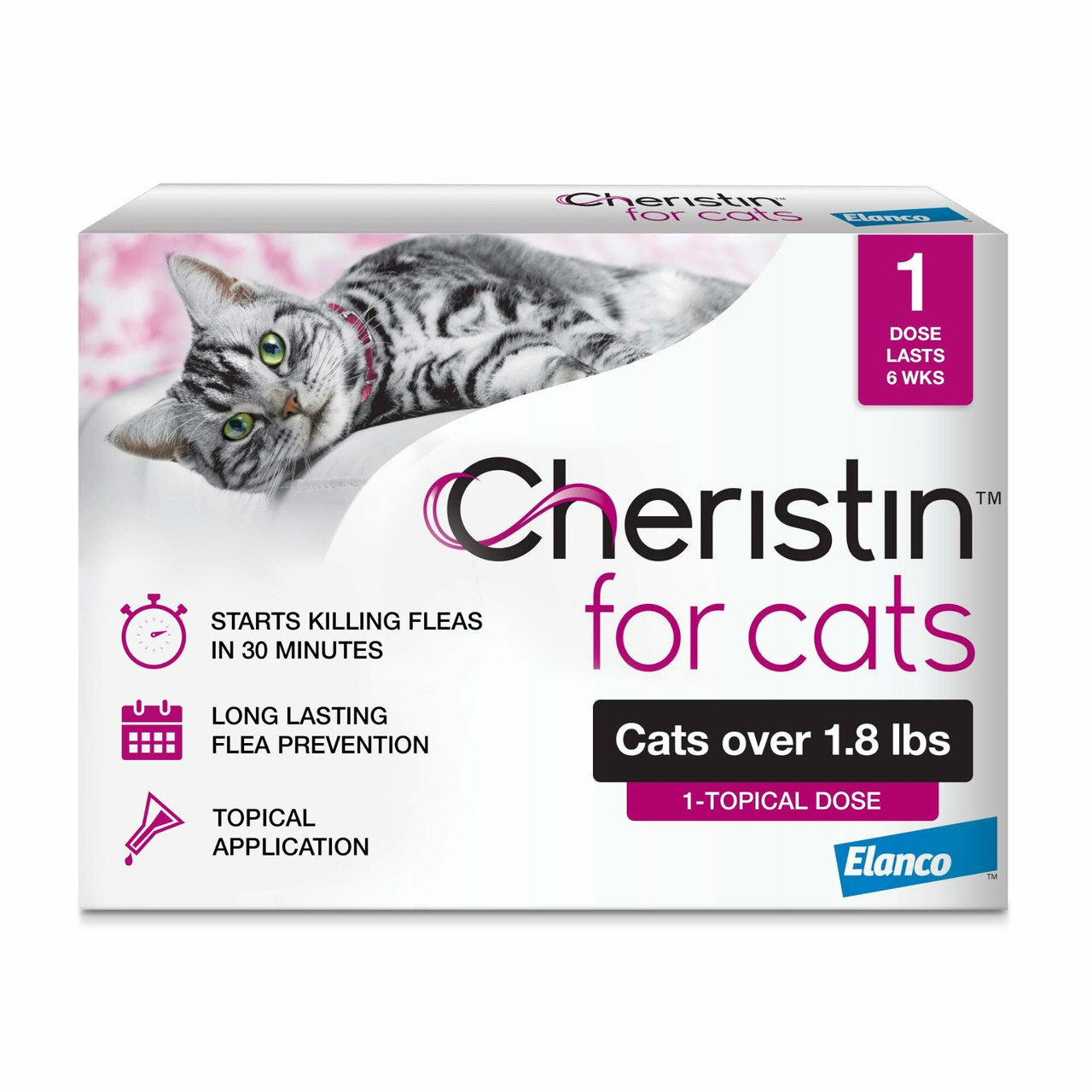 Cheristin for Cats
