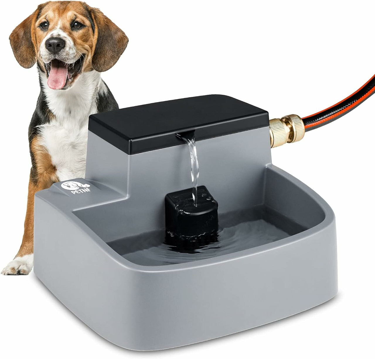 Waterer & Water Fountains
