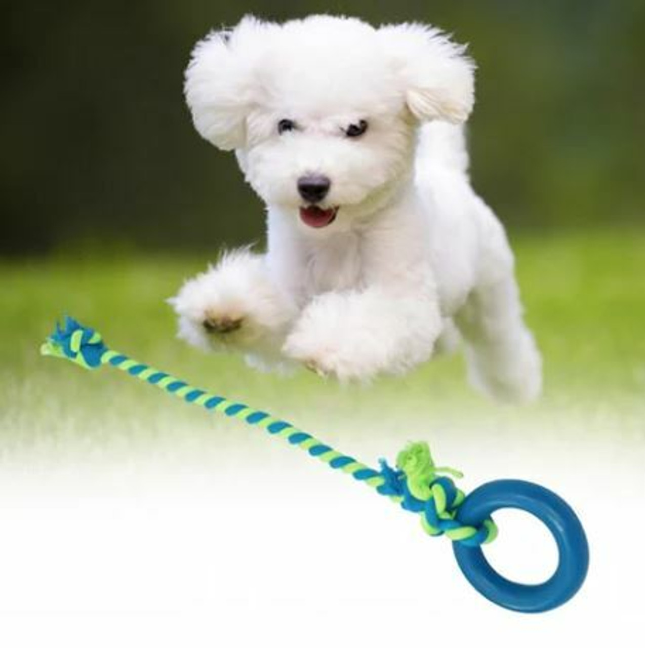 Rope & Tug Toys